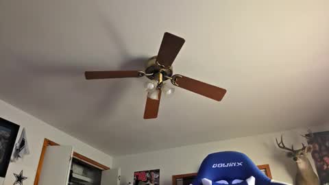 Daniel    y. online show from October 2025 11:15:02 PM