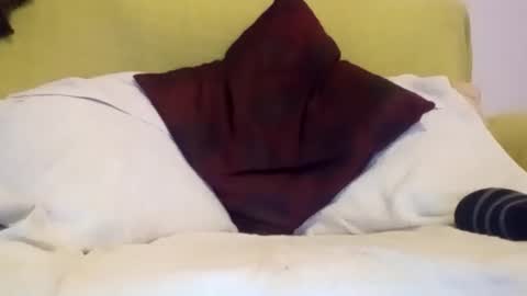 Snapshot of daniroca8 chatting on February 2026 06:36:01 PM daniroca8 online show from February 2026 06:36:01 PM