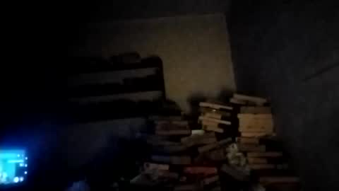 danitacrs online show from May 2026 06:19:02 AM