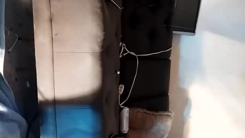 dandeb online show from September 2025 06:19:01 PM