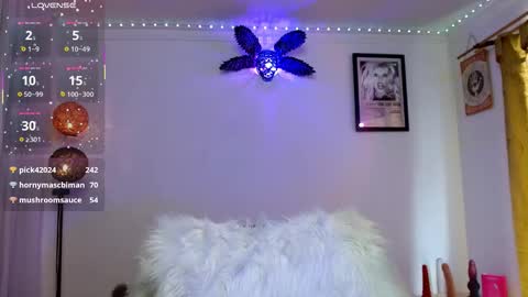 danni online show from May 2026 06:07:02 PM
