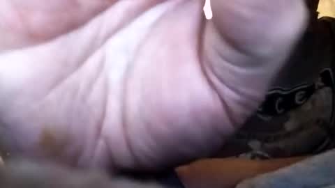 dannowisc online show from February 2026 12:37:01 PM