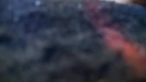 dannowisc online show from February 2026 04:09:02 AM