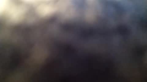 dannowisc online show from March 2026 02:02:01 AM