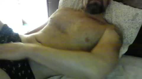 danroof2023 online show from January 2025 11:11:02 AM