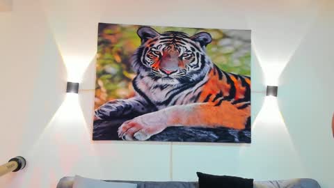 DANTE online show from December 2024 03:15:01 AM