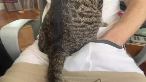 Dante online show from January 2025 05:53:01 PM