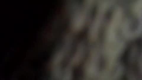 danys69 online show from October 2025 08:18:02 PM