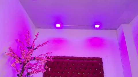 Daphne  online show from May 2026 11:34:02 PM