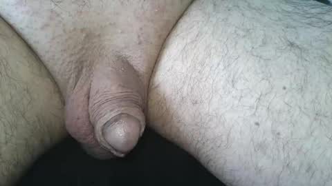 dapppper online show from June 2026 03:17:01 PM