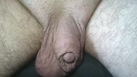 dapppper online show from June 2026 04:22:02 PM