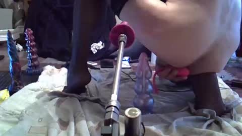 daqna1 online show from April 2026 07:56:01 AM