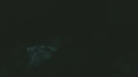 Snapshot of dare2do1 chatting on November 2025 07:29:02 PM dare2do1 online show from November 2025 07:29:02 PM