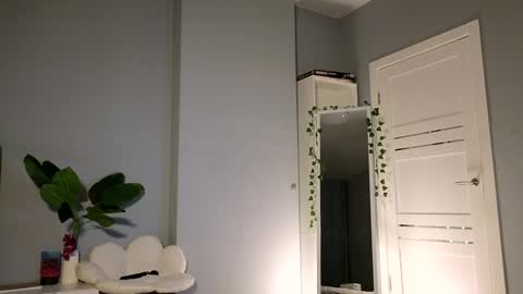 darilboom online show from December 2024 11:55:01 AM