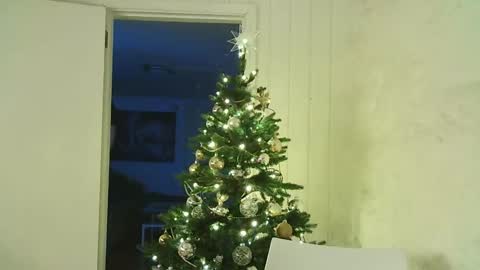 Dario online show from December 2024 07:56:01 PM