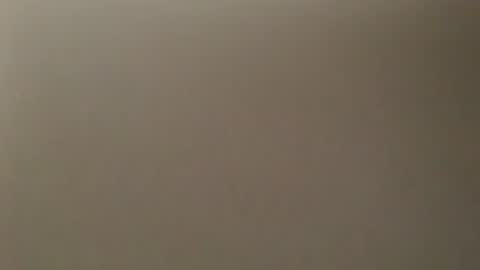 davdao3 online show from February 2025 10:29:01 AM