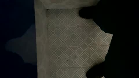 davzsoher online show from January 2025 08:07:02 PM