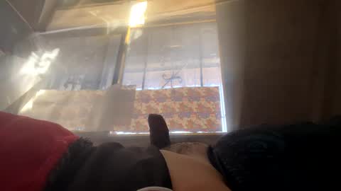 davzsoher online show from January 2025 02:49:01 PM