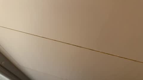 Snapshot of daxie002 chatting on January 2026 07:02:02 AM Hornybear online show from January 2026 07:02:02 AM