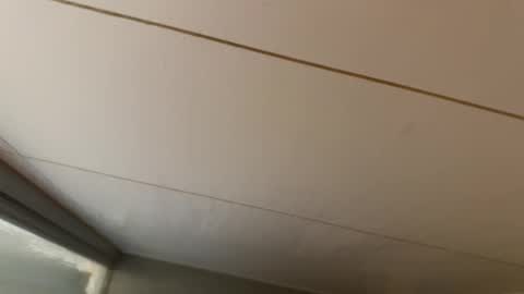 Snapshot of daxie002 chatting on January 2026 06:39:02 AM Hornybear online show from January 2026 06:39:02 AM