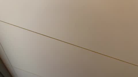 Snapshot of daxie002 chatting on February 2026 07:25:02 PM Hornybear online show from February 2026 07:25:02 PM