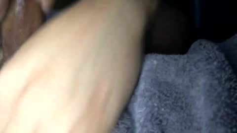 dayday216 online show from February 2026 01:04:02 PM