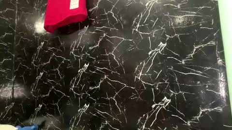 Snapshot of daylebellman chatting on April 2026 03:50:01 PM May online show from April 2026 03:50:01 PM