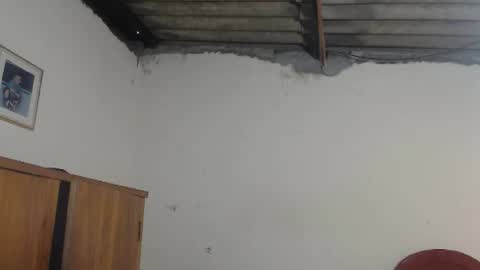 Dylon online show from September 2025 11:35:01 AM