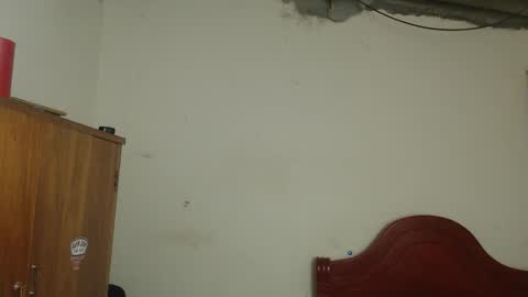 Dylon online show from February 2026 11:17:01 AM