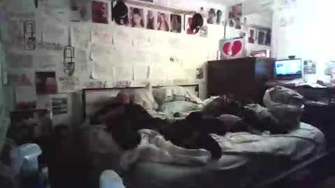 Snapshot of dbeamon92 chatting on February 2026 12:25:02 AM dbeamon92 online show from February 2026 12:25:02 AM