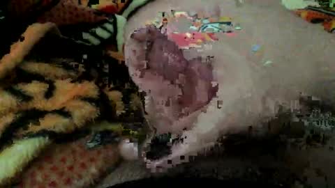 dboy606d online show from November 2025 08:07:01 PM