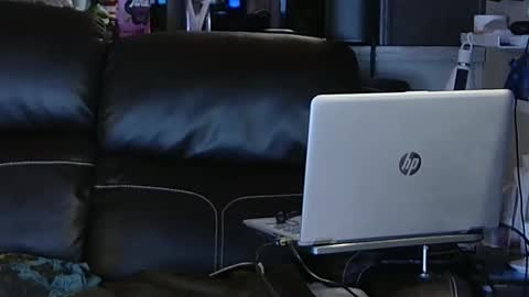 want girl to play with me online show from February 2025 11:48:01 PM