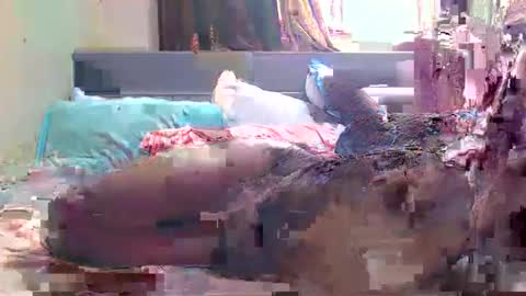 debbyslatter online show from February 2025 09:13:02 AM