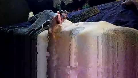 decoyx5o5 online show from January 2025 02:09:02 PM