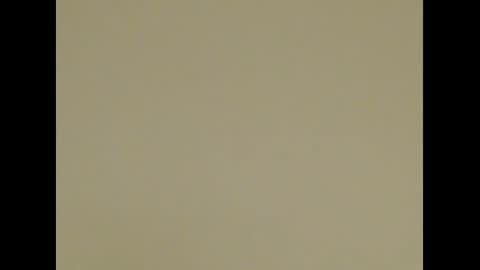 Deelightfull online show from January 2025 12:18:01 PM