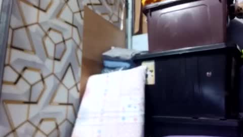 deliciousgirl975840 online show from June 2026 07:15:02 PM