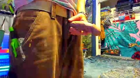 delightfuldance online show from December 2025 05:16:01 AM