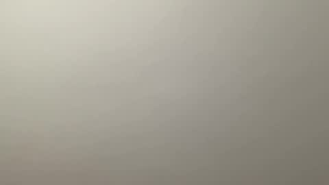 Delivery      online show from December 2024 12:34:02 AM