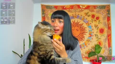 demeter__ online show from May 2026 10:06:02 PM