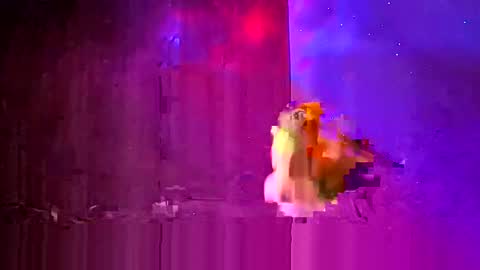 den2807 online show from March 2026 12:15:01 AM