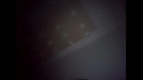 Snapshot of dentdlapin chatting on January 2025 03:57:02 AM Toreto online show from January 2025 03:57:02 AM