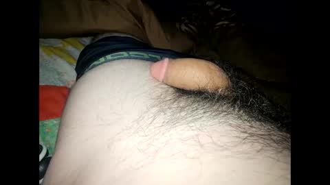 Snapshot of dentdlapin chatting on January 2026 05:00:01 AM Toreto online show from January 2026 05:00:01 AM