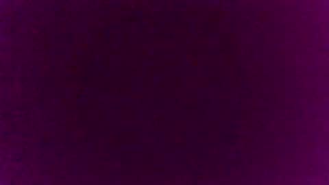 derekdings online show from December 2024 09:58:02 PM