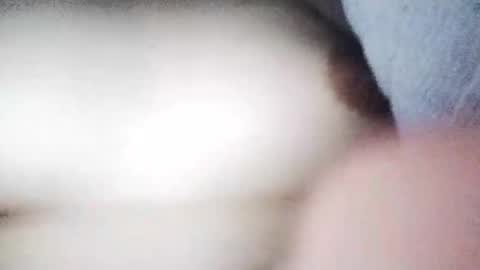 desurvv0999 online show from November 2025 08:03:02 AM