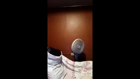 Snapshot of devensingh chatting on March 2026 05:34:01 AM devensingh online show from March 2026 05:34:01 AM