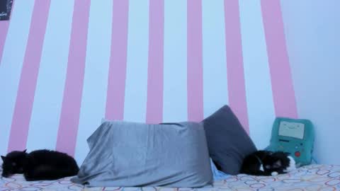 Snapshot of devilangel_29 chatting on March 2026 02:16:02 AM Johana online show from March 2026 02:16:02 AM