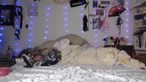 Snapshot of devilg1rl chatting on January 2025 07:36:01 AM poutyangel online show from January 2025 07:36:01 AM