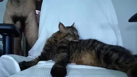 Snapshot of diamond_black00 chatting on December 2024 08:11:01 PM MaSSimo online show from December 2024 08:11:01 PM