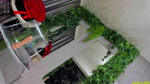 Snapshot of diamond_jo_ chatting on February 2025 03:08:02 AM Jo online show from February 2025 03:08:02 AM