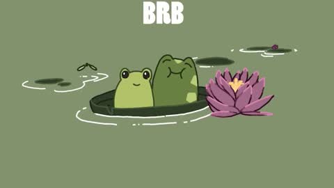 diana online show from December 2024 07:43:01 PM